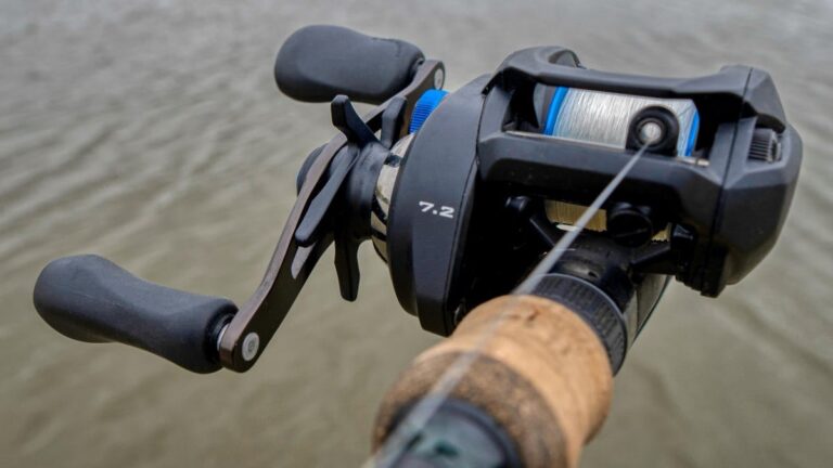Rakufun Japan Proxy Spinning vs Baitcasting Reels
