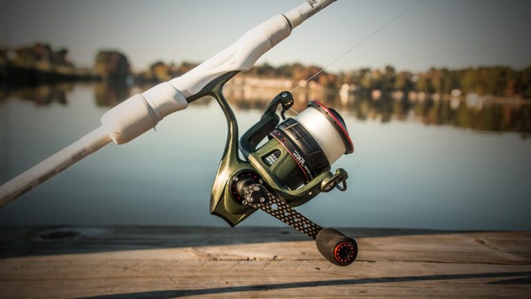 Rakufun Japan Proxy Spinning vs Baitcasting Reels